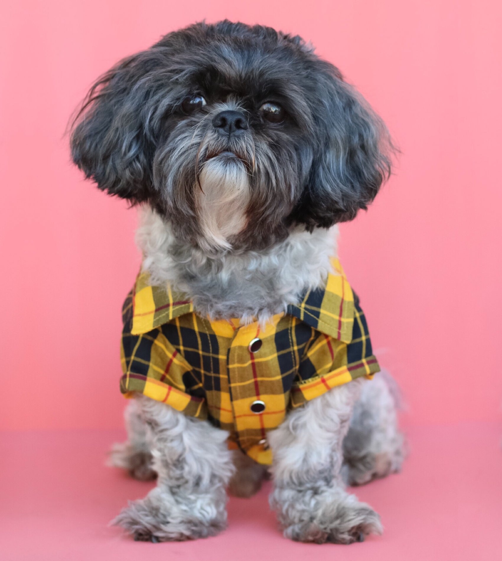 Button up shirt with dogs on it best sale